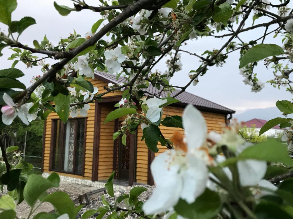 Бархат Tsandrypsh Exterior foto